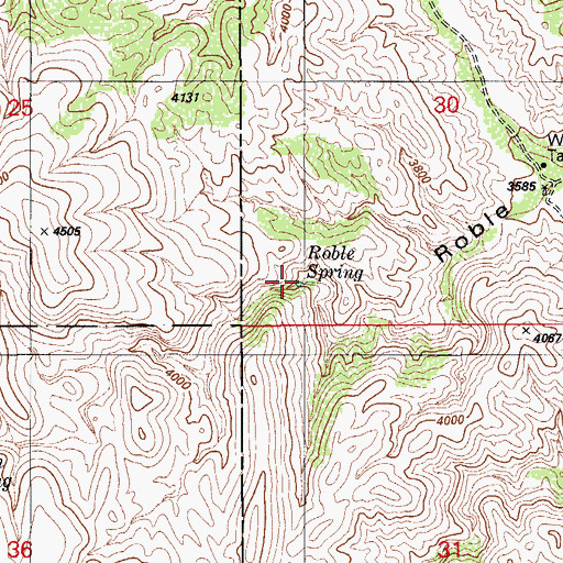 Topographic Map of Roble Spring, AZ