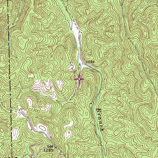 Topographic Map of Tillman Lake, GA