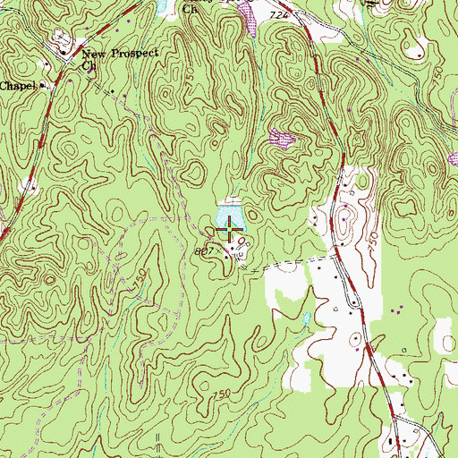 Topographic Map of Brindle Lake, GA