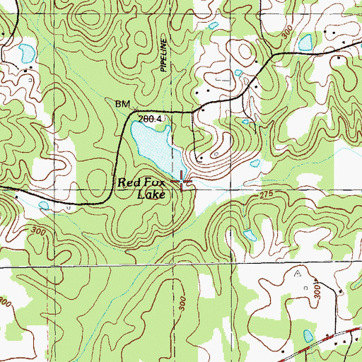Topographic Map of Red Fox Lake Dam, GA