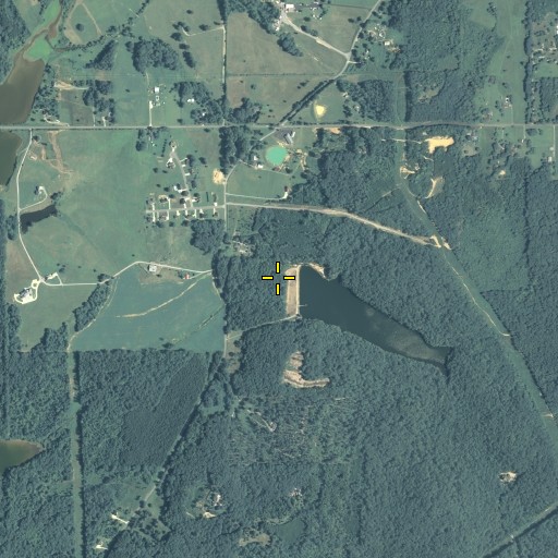 Aerial/Satellite Image of Barwick Mill Dam Two, GA