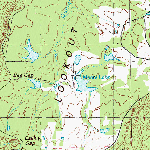 Topographic Map of McGee Lake Dam, GA