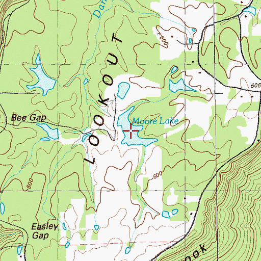 Topographic Map of McGee Lake, GA