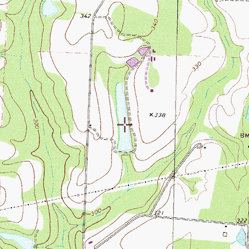 Topographic Map of Hopkins Lake, GA