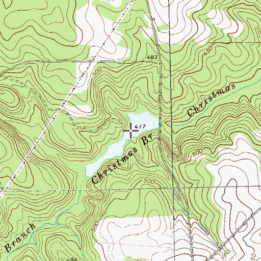 Topographic Map of Christmas Branch Lake, GA