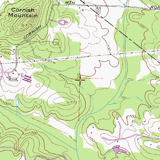 Topographic Map of Lower Williams Lake, GA