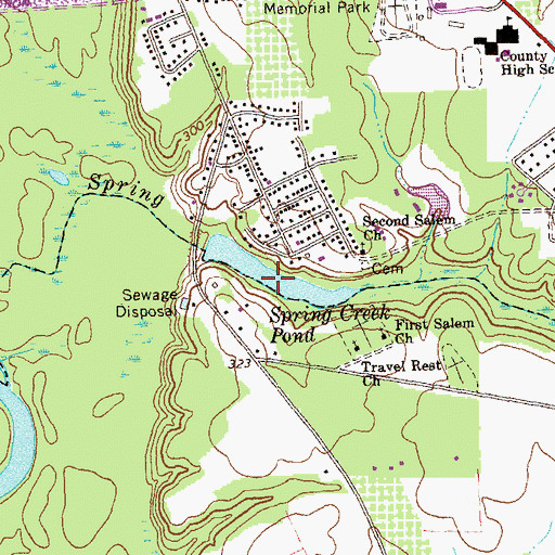 Topographic Map of Spring Creek Pond Dam, GA