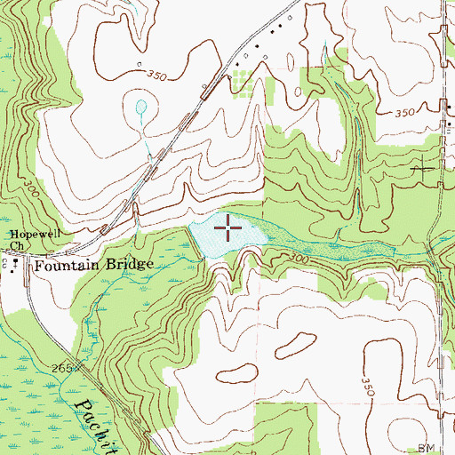 Topographic Map of Williams Lake, GA