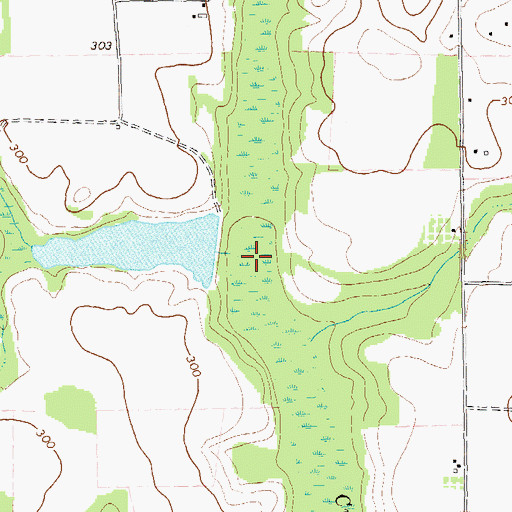 Topographic Map of Rice Lake Dam, GA