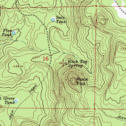 Topographic Map of Rock Top Spring, AZ