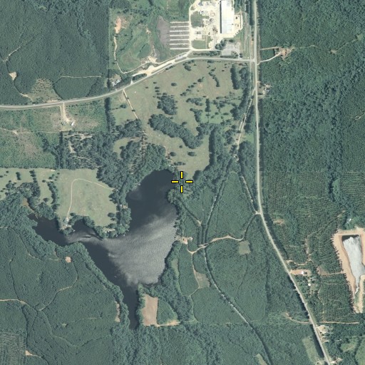 Aerial/Satellite Image of Mathis Dam, GA
