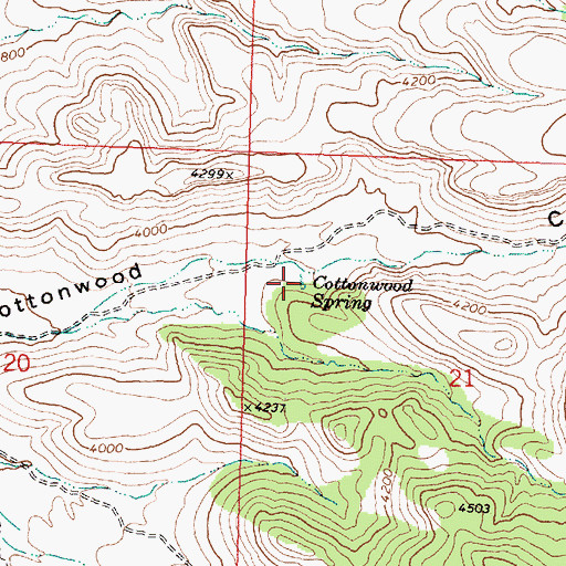 Topographic Map of Cottonwood Spring, AZ