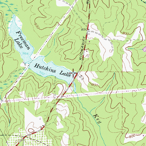 Topographic Map of Hutchins Lake Dam, GA