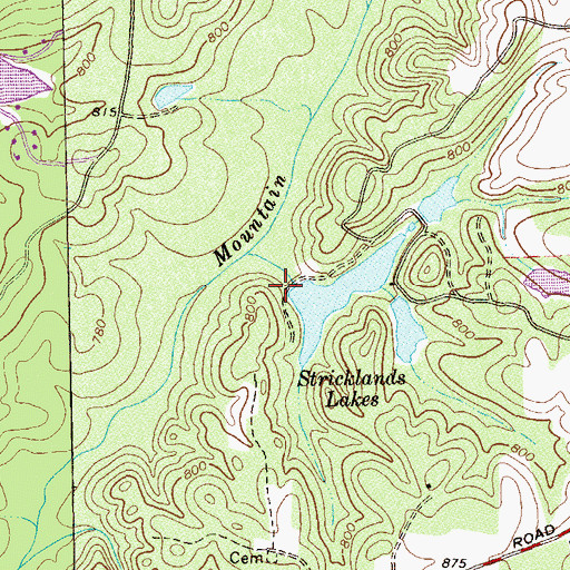 Topographic Map of Strickland Lake, GA