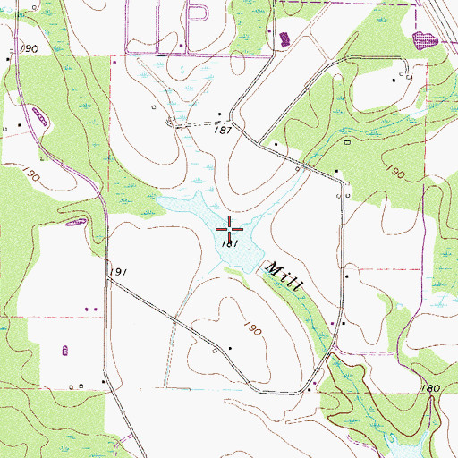 Topographic Map of Bryant and Futch Lake, GA
