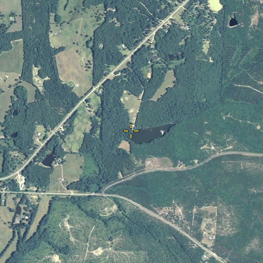 Aerial/Satellite Image of Hortman Lake Dam, GA