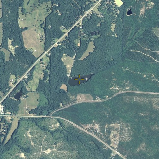 Aerial/Satellite Image of Hortman Lake, GA