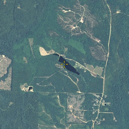 Aerial/Satellite Image of Walker Lake Dam, GA