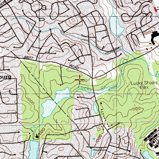 Topographic Map of Burns Lake, GA