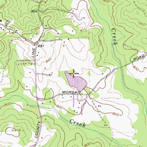 Topographic Map of Mills Dam, GA