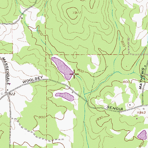 Topographic Map of Scarbrough Lake Dam, GA