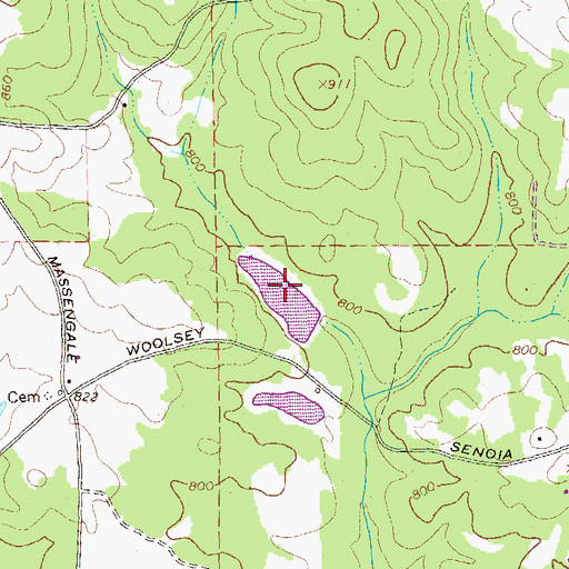 Topographic Map of Scarbrough Lake, GA