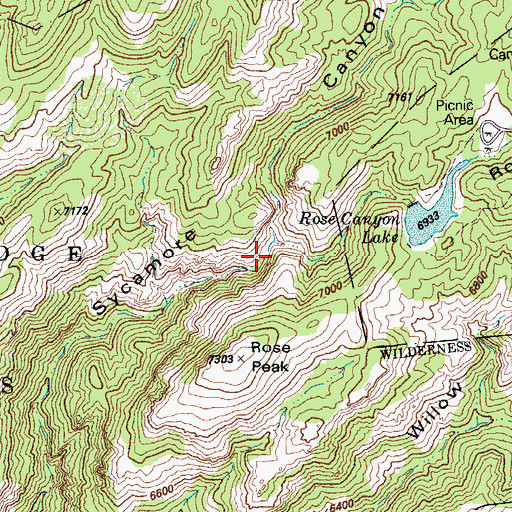 Topographic Map of Rose Canyon, AZ