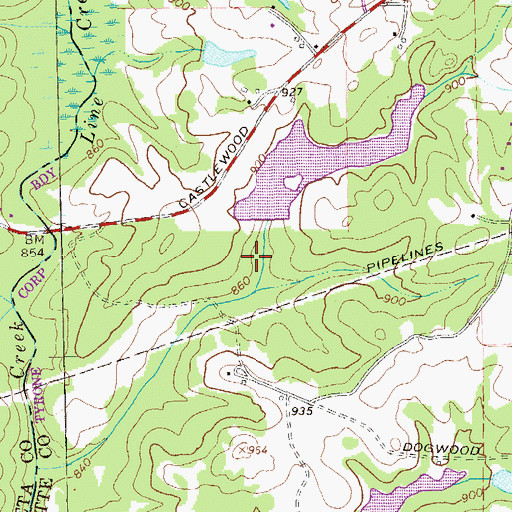 Topographic Map of Magnolia Lake, GA