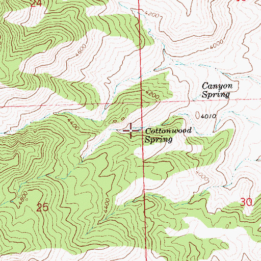 Topographic Map of Cottonwood Spring, AZ