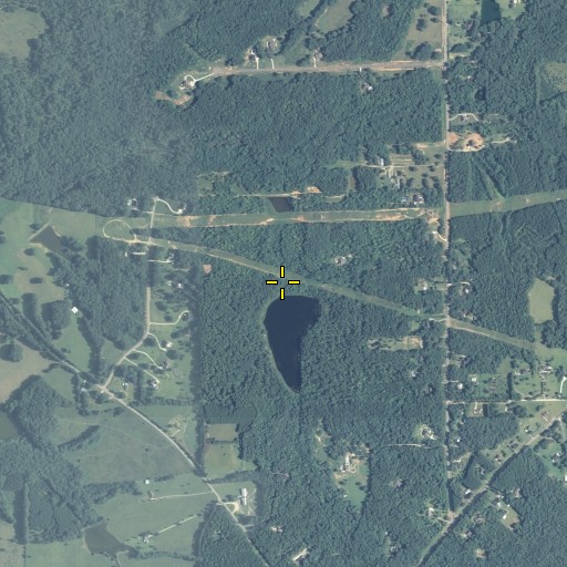 Aerial/Satellite Image of Hogg Dam, GA