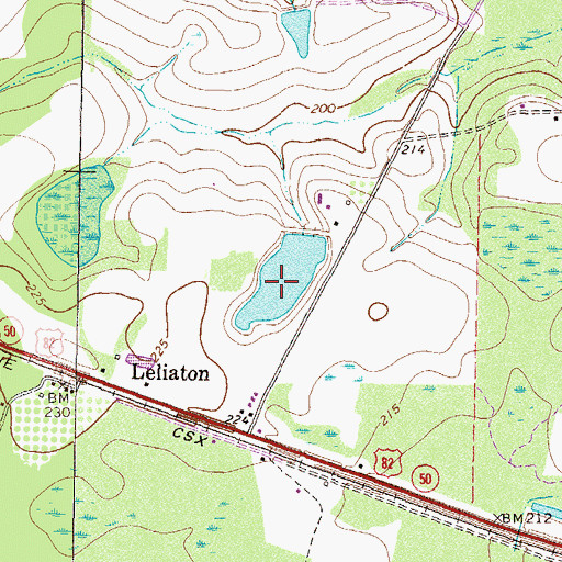 Topographic Map of Vickers Lake, GA