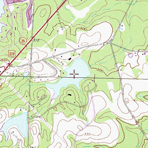 Topographic Map of Rankin Lake, GA