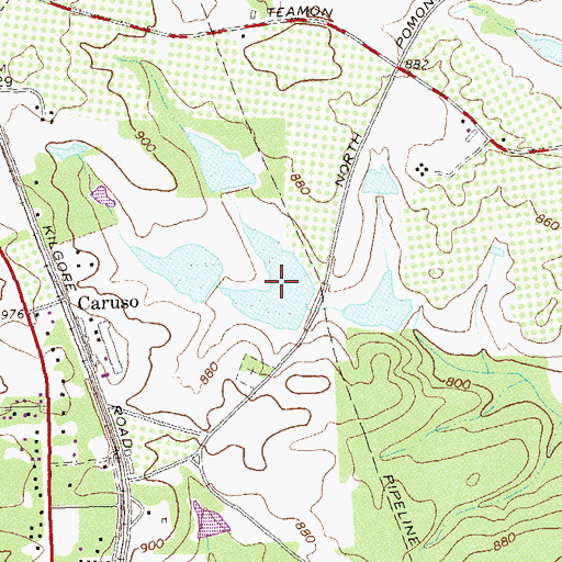 Topographic Map of Southern Fruit Lake, GA