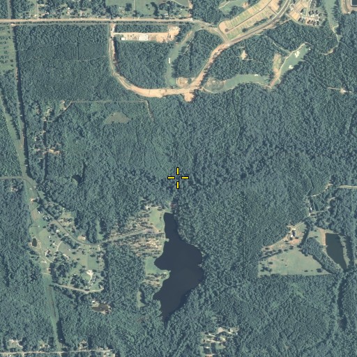 Aerial/Satellite Image of Dundee Lake Dam, GA