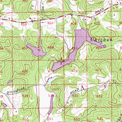 Topographic Map of King Dam, GA
