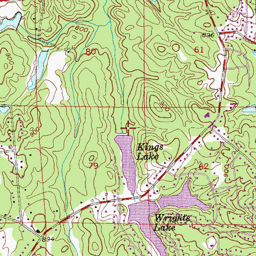 Topographic Map of Kings Lake Dam, GA