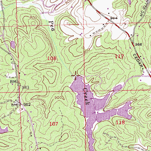 Topographic Map of Cedar Grove Dam, GA
