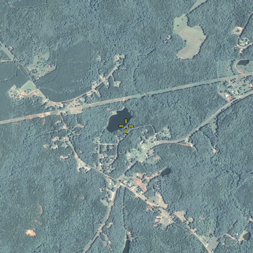 Aerial/Satellite Image of Hammonds Lake Dam, GA