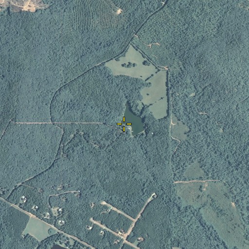 Aerial/Satellite Image of New Lake Dam, GA