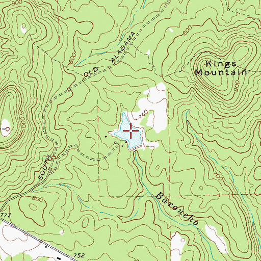 Topographic Map of New Lake, GA