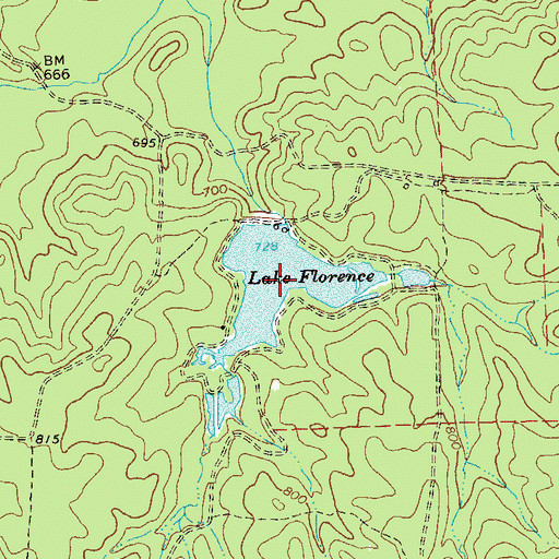 Topographic Map of Lake Florence, GA