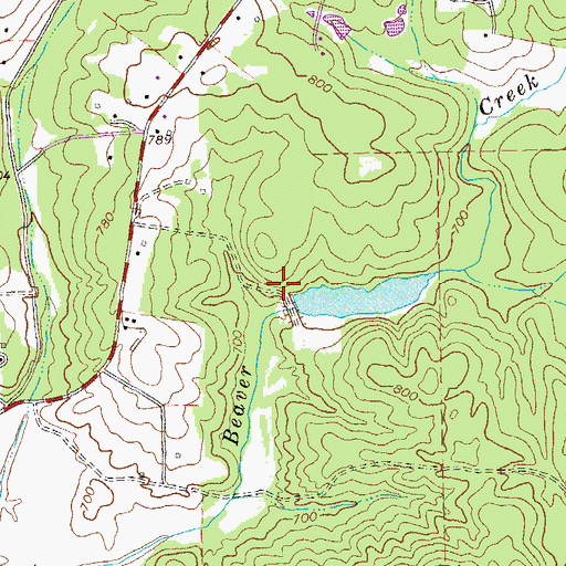 Topographic Map of Palmetto Creek Structure Number 10 Dam, GA