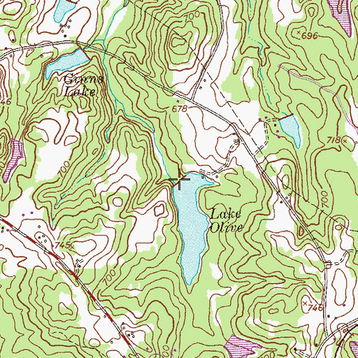 Topographic Map of Lake Olive Dam, GA