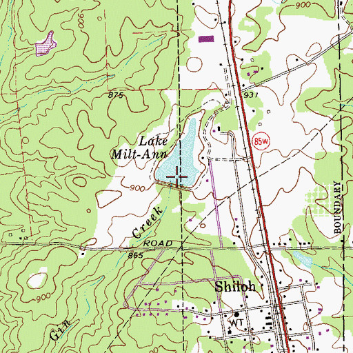 Topographic Map of Lake Milt-Ann Dam, GA