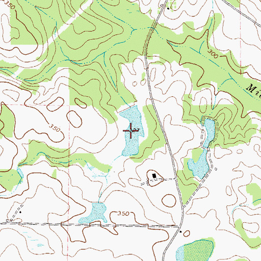 Topographic Map of Spear Lake, GA