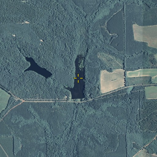 Aerial/Satellite Image of Veneys Millpond Dam, GA
