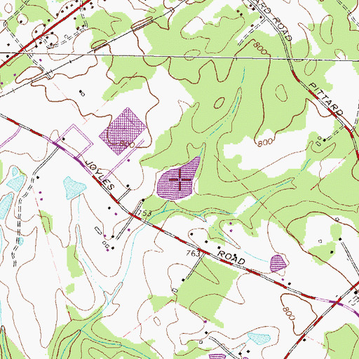 Topographic Map of Dupont Lake, GA