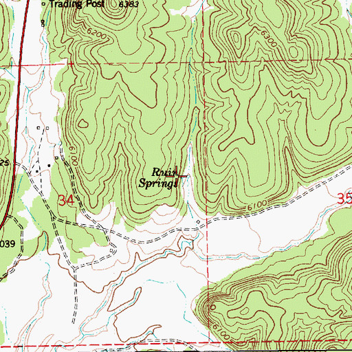 Topographic Map of Ruin Springs, AZ