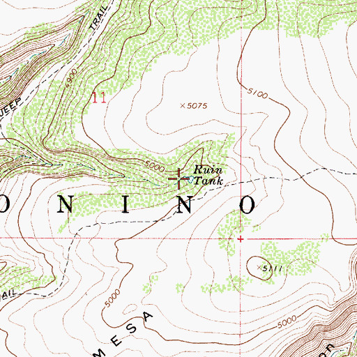 Topographic Map of Ruin Tank, AZ