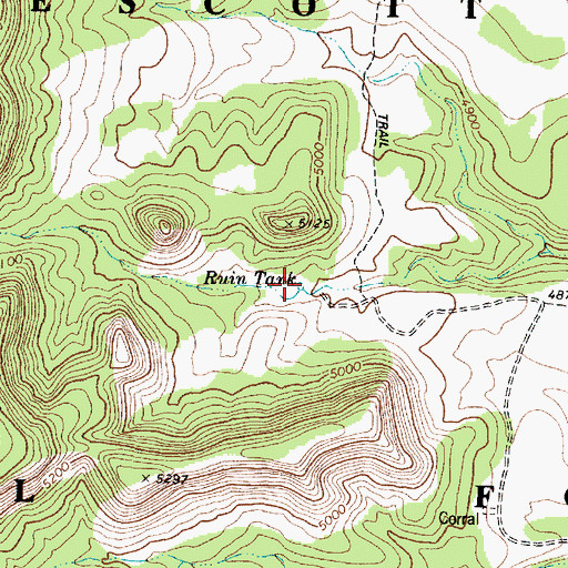 Topographic Map of Ruin Tank, AZ